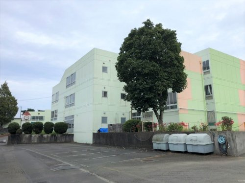 【小学校】静岡市立清水有度第二小学校まで1173ｍ