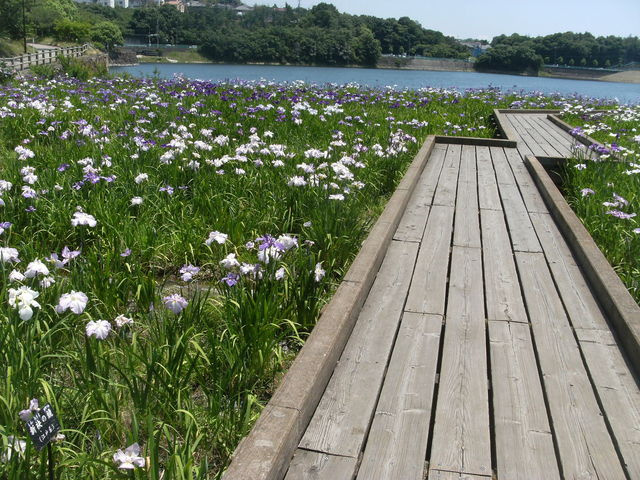 【公園】春日池公園まで1459ｍ
