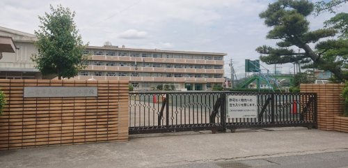 【小学校】一宮市立小信中島小学校まで1591ｍ