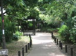 【公園】烏山川緑道まで929ｍ