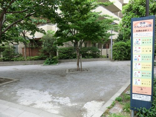 【公園】西原どんぐり公園まで361ｍ