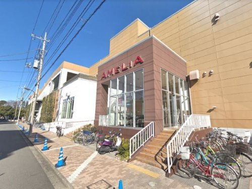 【ショッピングセンター】アメリア町田根岸ショッピングセンターまで2729ｍ