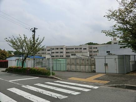【中学校】小山田中学校まで737ｍ