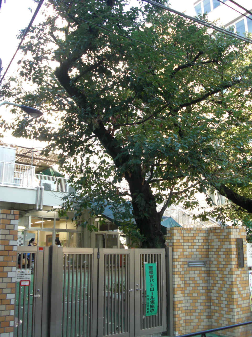 【保育園】区立本郷保育園まで1372ｍ