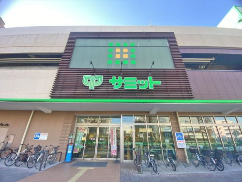 【スーパー】サミットストア野沢龍雲寺店まで234ｍ
