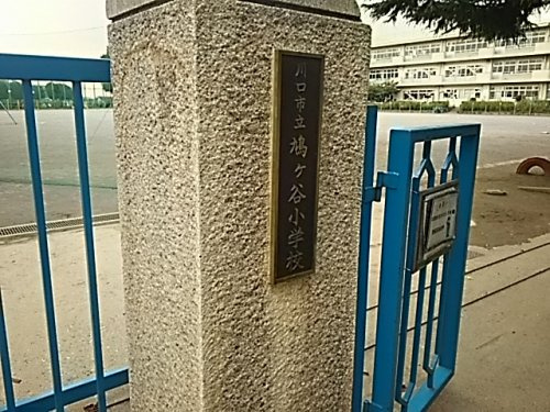 【小学校】川口市立　鳩ケ谷小学校まで304ｍ
