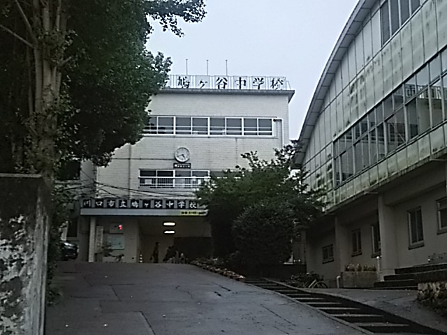 【中学校】川口市立鳩ケ谷中学校まで1064ｍ