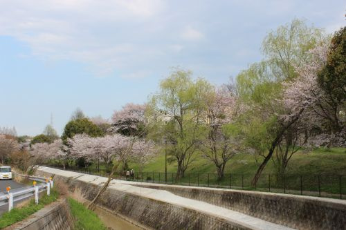 【公園】御呂戸川緑地まで1136ｍ