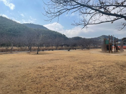【公園】高知県立池公園まで850ｍ