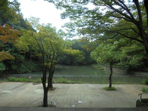 【公園】谷戸池公園まで529ｍ