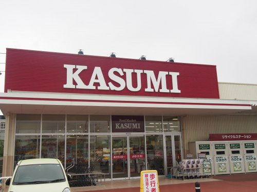 【スーパー】株式会社カスミ　フードマーケット柏たなか駅前店まで4391ｍ