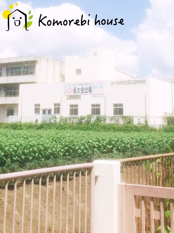 【中学校】さいたま市立第二東中学校まで1043ｍ