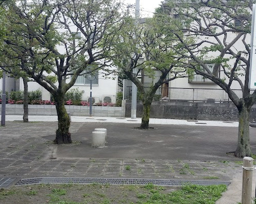 【公園】やまもも広場まで60ｍ