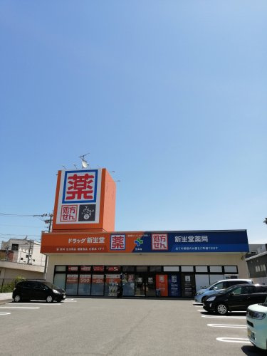 【ドラッグストア】ドラッグ新生堂　五条店まで864ｍ