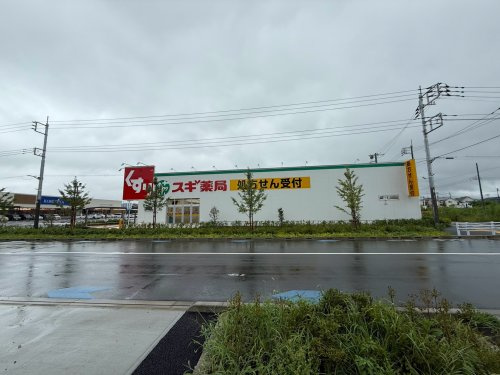 【ドラッグストア】スギ薬局　引田店まで218ｍ