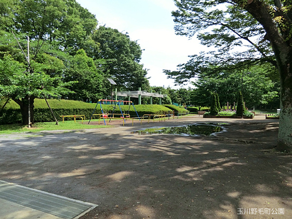 【公園】玉川野毛町公園まで504ｍ