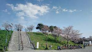 【公園】足立区立舎人はなさく公園まで838ｍ