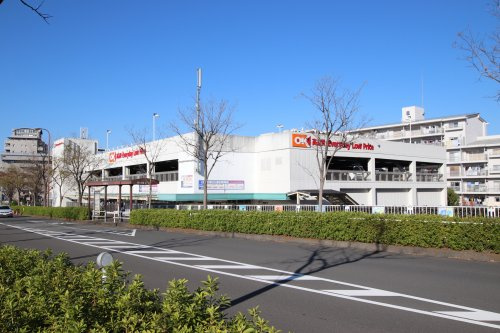 【スーパー】　オーケーストア南大沢店まで1591ｍ