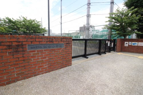 【小学校】横須賀市立諏訪小学校まで256ｍ