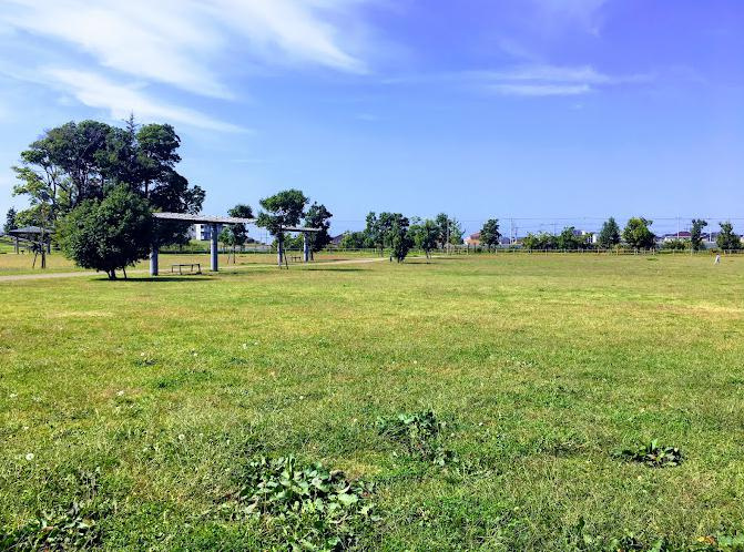 【公園】みらい平どんぐり公園まで595ｍ