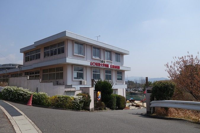【幼稚園】山口短期大学附属広島幼稚園まで803ｍ