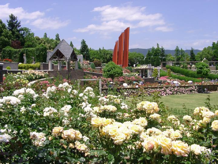 【公園】荒牧バラ公園まで1377ｍ