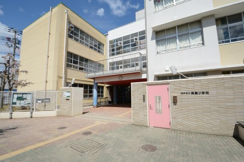 【小学校】神戸市立東灘小学校まで546ｍ