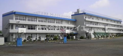 【中学校】入間市立向原中学校まで1438ｍ