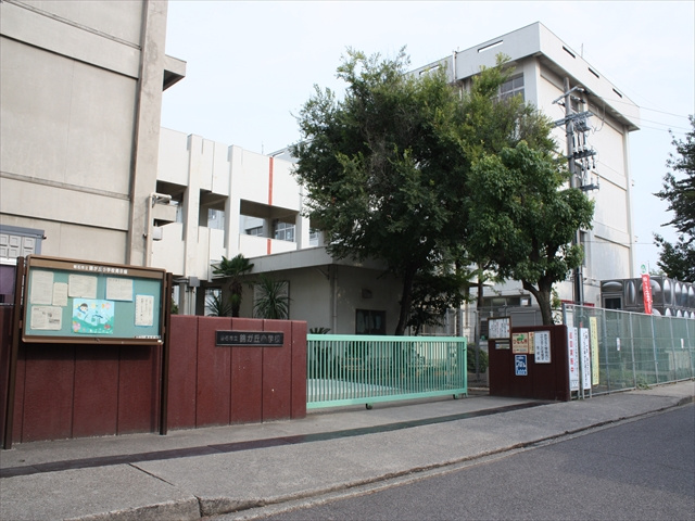 【小学校】錦が丘小学校まで206ｍ