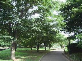 【公園】都立祖師谷公園まで1168ｍ