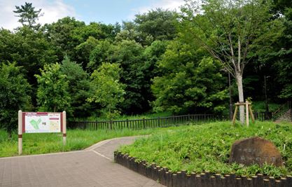 【公園】成城四丁目緑地まで1082ｍ