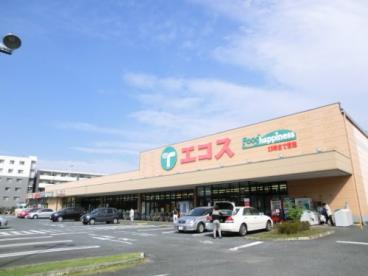 【スーパー】エコス　TAIRAYA(たいらや)　拝島店まで792ｍ