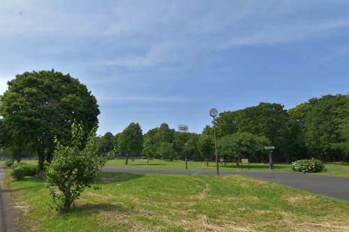 【公園】都立城北中央公園まで658ｍ