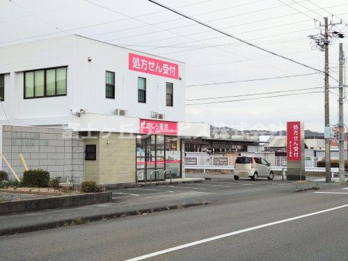 【ドラッグストア】さくら薬局大坂店まで781ｍ