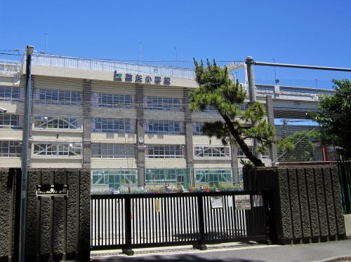 【小学校】江東区立数矢小学校まで591ｍ
