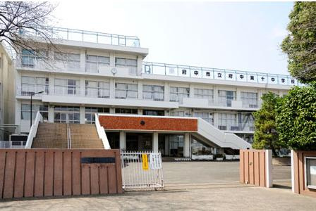 【中学校】市立府中第十中学校まで147ｍ
