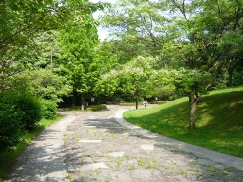 【公園】桜ヶ丘公園まで370ｍ