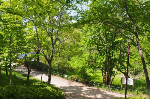 【公園】上の池公園まで162ｍ