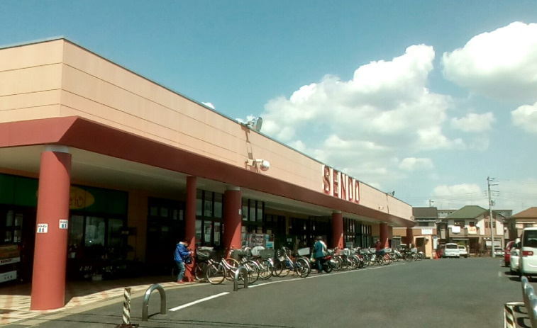 【スーパー】SENDO(せんどう)　辰巳台店まで769ｍ
