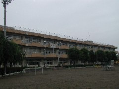 【小学校】若木小学校まで518ｍ