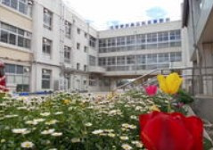 【小学校】東野小学校まで229ｍ