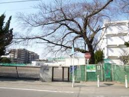 【小学校】大和市立緑野小学校まで176ｍ
