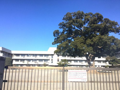 【小学校】新磯小学校まで676ｍ