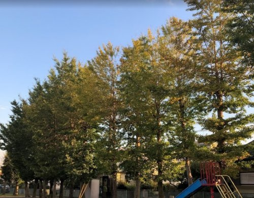【公園】春日台第4公園まで203ｍ