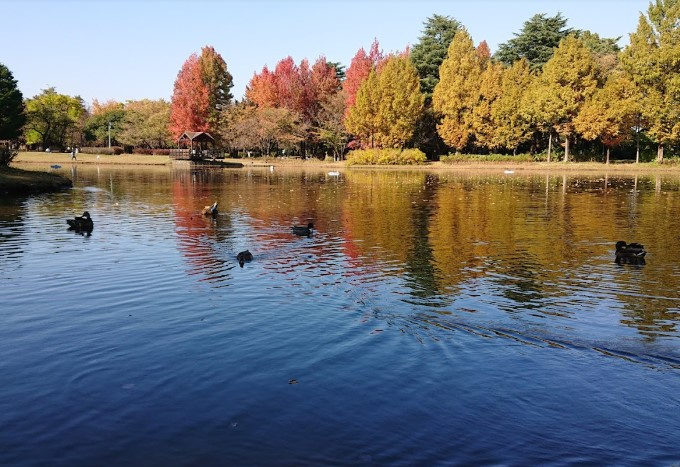 【公園】埼玉県営彩の森入間公園まで1553ｍ