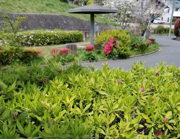 【公園】三保公園まで181ｍ