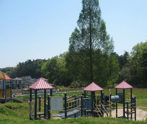 【公園】つつじ台公園まで1181ｍ