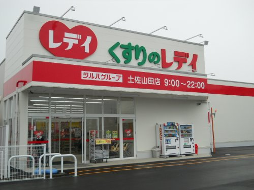 【ドラッグストア】くすりのレデイ　土佐山田店まで430ｍ