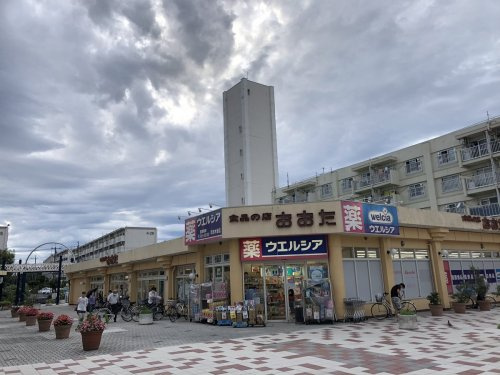 【ドラッグストア】ウエルシア町田木曽店まで745ｍ
