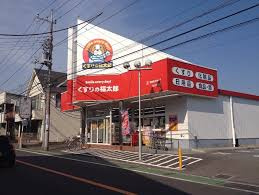 【ドラッグストア】くすりの福太郎　市川国分店まで1027ｍ